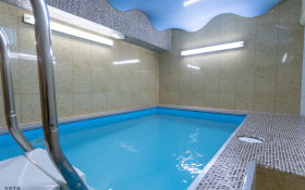 ����� ������� ����