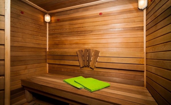 Березка фото №8