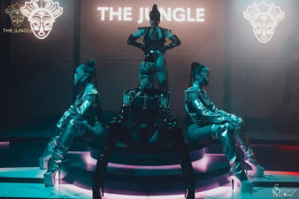 ������ ���� The Jungle ������