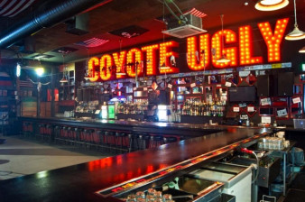 ������ ���� ������ ����� ������