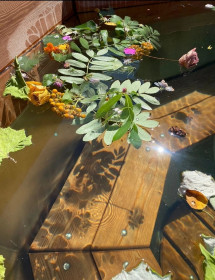 ����� ���, �������� ���� �� ������ ������