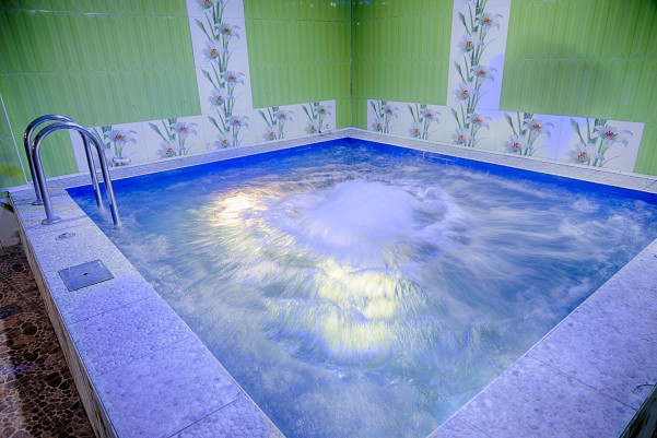 Лотос фото №24