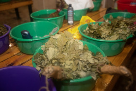 Сауна Русские бани Балашиха