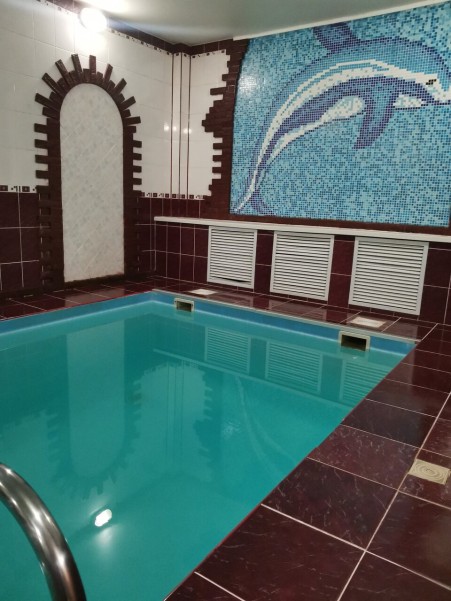 Дельфин фото №2