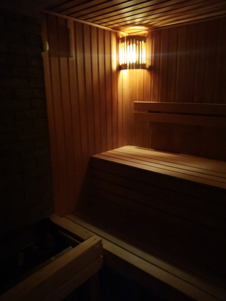 Дельфин фото №3