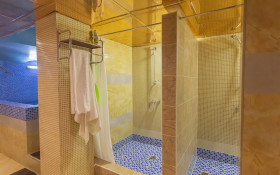 ����� ������� ����