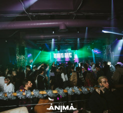 ������ ���� Anima ������