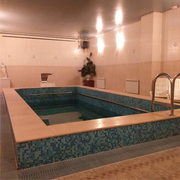 Дельфин - ваша баня фото №4