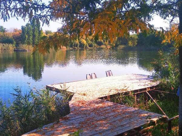 Баня на вейкпарке фото №7