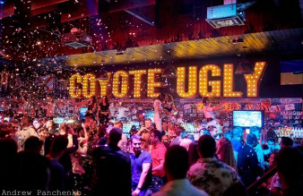 ������ ���� ������ ����� ������