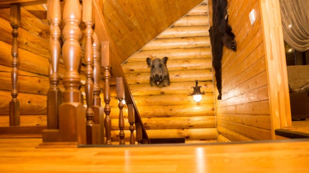 Лунный кот фото №6