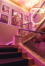 ������ ���� ������ Show Girls ������������