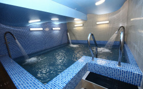 ����� ������� ����