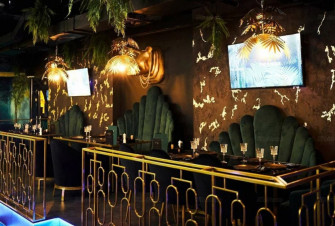 ������ ���� The Jungle ������