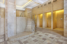 ����� ������������ ���� ������