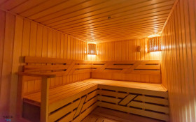 ����� ������� ����