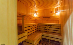 ����� ������� ����