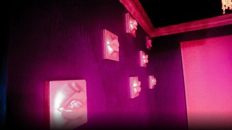 ������ ���� ������� ������