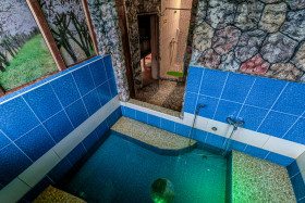 ����� ������ �������� ������ ����