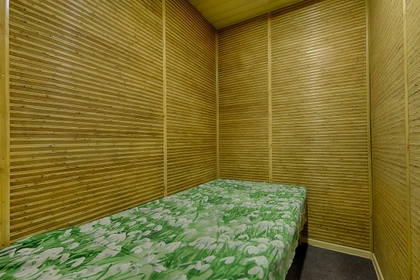 Лотос фото №7