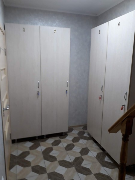 Бамбук фото №8