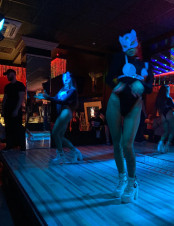 Ночной клуб Винегрет Краснодар