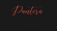 Салон Пантера