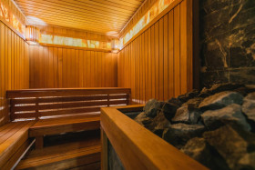 ����� ������������ ���� ������