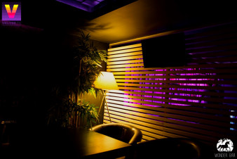 ������ ���� Wonder bar �����