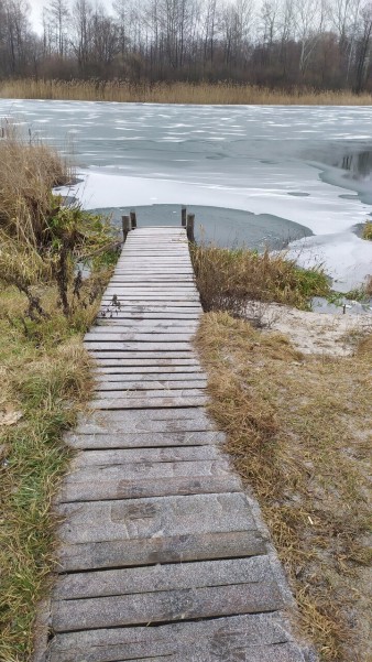 Зеленый уголок фото №6