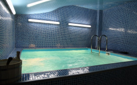 ����� ������� ����