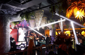 ������ ���� The Jungle ������