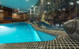 ����� ����� ��������� ������ ��������