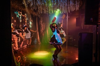 Ночной клуб Кабаре Show Girls Екатеринбург фото №15