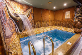 ����� ��������� ����