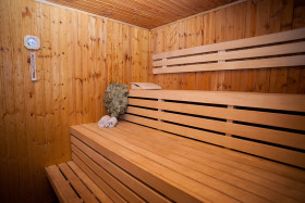 Сауна Баня на дровах ГорыныЧ Тула