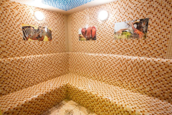 ��������� ���� �29