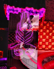 ������ ���� ������� ������� �����