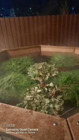 ����� ���, �������� ���� �� ������ ������