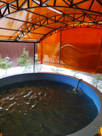 Сауна Bubble баня Балашиха