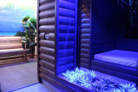 Сауна Сауна Пена Киров