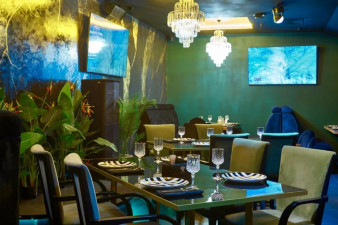 ������ ���� The Jungle ������