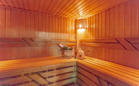 ����� ������� ����