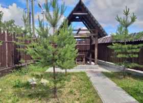Сауна Берёзки Копейск