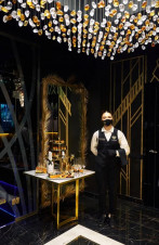 ������ ���� The Jungle ������