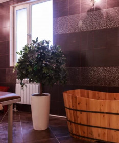 ����� �������� SPA-���� ������