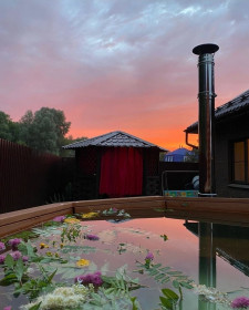 ����� ���, �������� ���� �� ������ ������