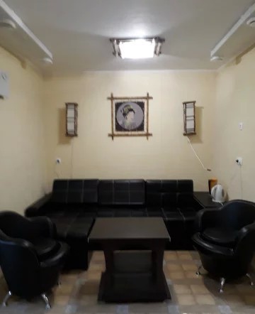 Бамбук фото №3