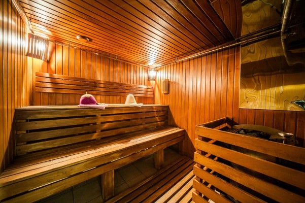 Березка фото №7