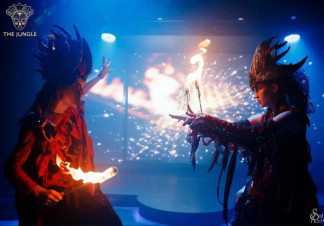 ������ ���� The Jungle ������